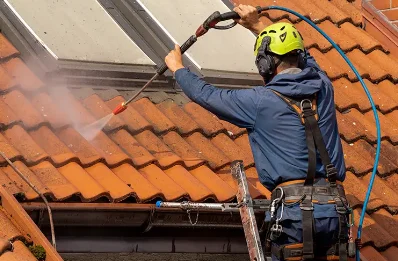 Démoussage et hydrofuge de toiture à Éloyes